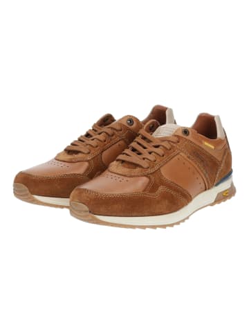 Camel Active Sneaker in Tan