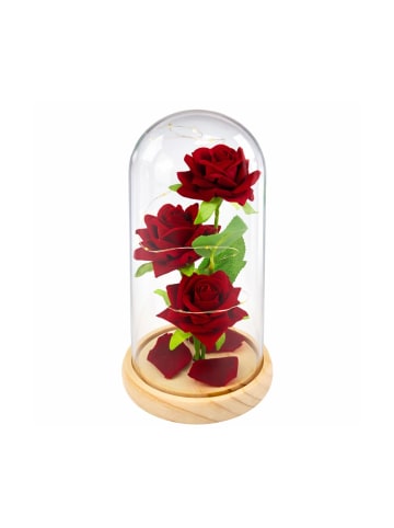 Wisam® Ewige Rose Glaskuppel LED Rot Deko 21,5 cm