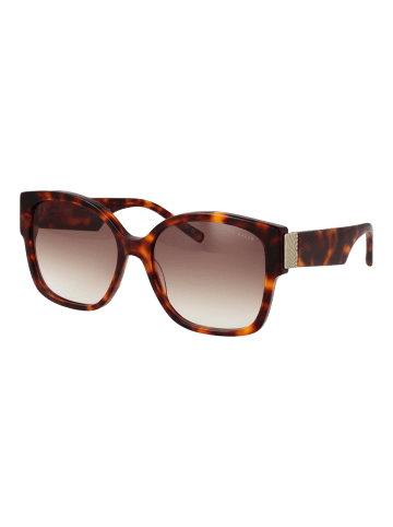 Ted Baker Damen Sonnenbrillen Quadrat Braun