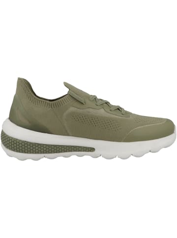 Geox Sneaker low D Spherica Actif A in gruen