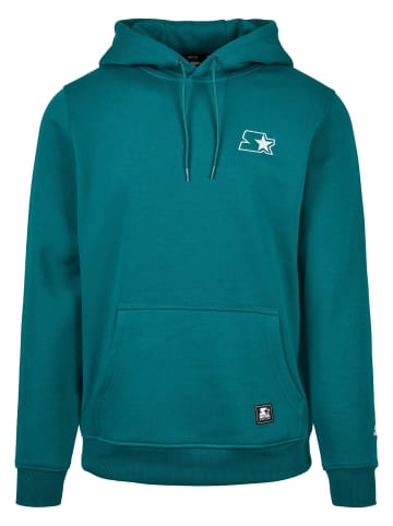 STARTER STARTER Herren Starter Small Logo Hoody in retro green