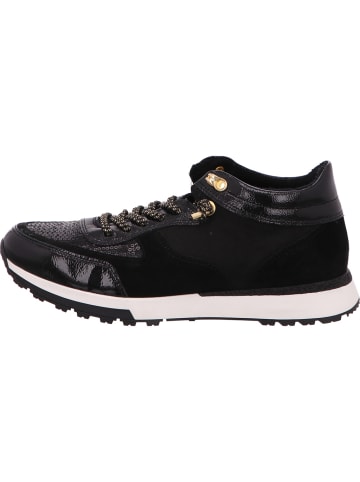 Paul Green Sneaker in schwarz