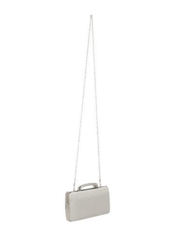 usha BLACK LABEL Women Purse in Silver