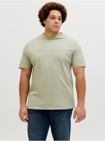 JACK & JONES PLUS T-shirt in Seagrass