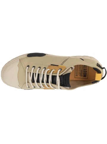 Palladium Palladium Ace City Shell Lo in Beige