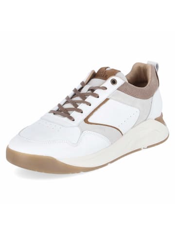Bullboxer Low Sneaker in weiß