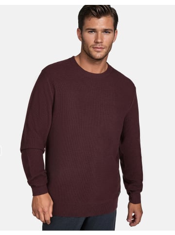 Pierre Cardin Pullover in Winetasting