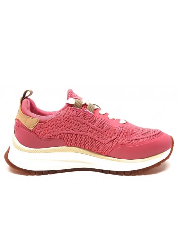 Gant Sneaker Trazyn in Pink