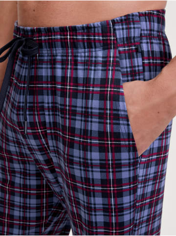 Calida Pants in coastal fjord