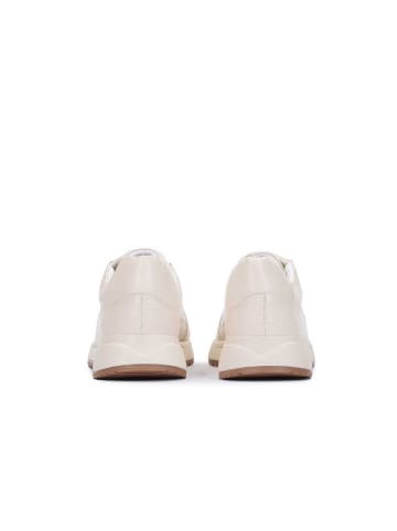 Kazar Sneaker Low ZINNA in Off-white