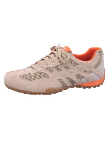 Geox Schnürschuh in beige