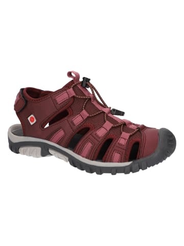 Hi-Tec Sandalen Cove Sport in beere
