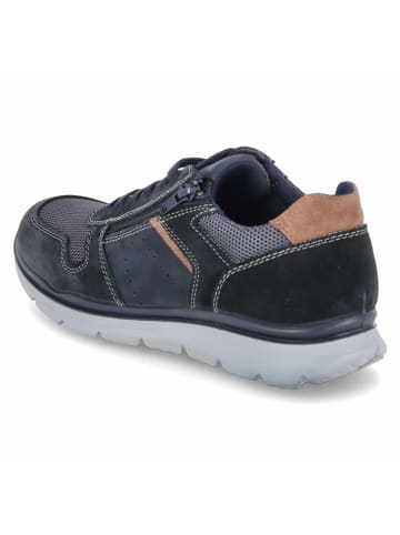 Beliano Schnürhalbschuh in blue