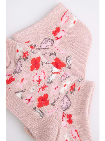 Coccodrillo Socken in bunt