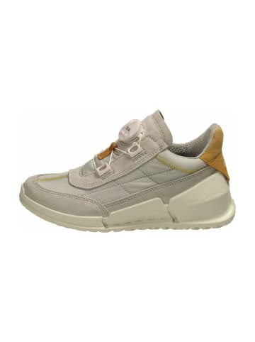 Ecco Slipper in Grau