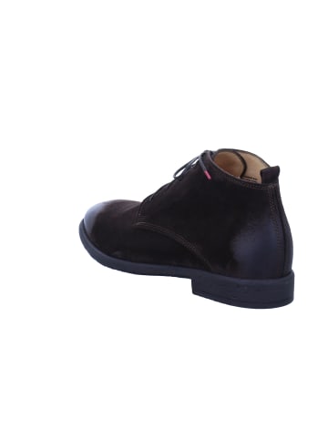 Think! Schnürstiefeletten Civita in braun