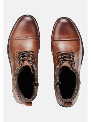 Jack & Jones Schnürschuhe 'Marly' in braun