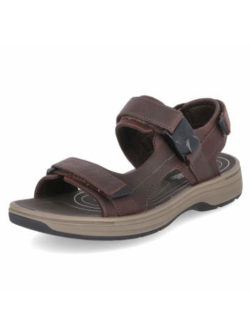 Clarks Sandalen SALTWAY in Braun