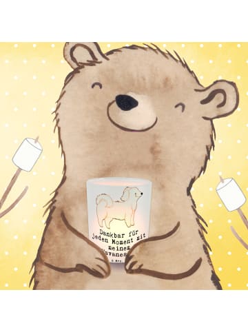 Mr. & Mrs. Panda Kerzen Windlicht Havaneser Moment mit Spruch in Transparent