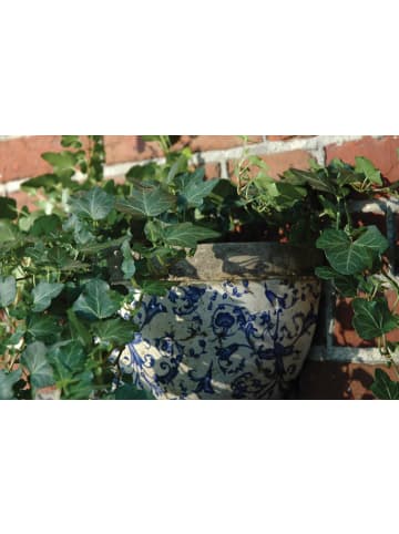 Esschert Design 3er-Set: Blumentopf in blau/weiß