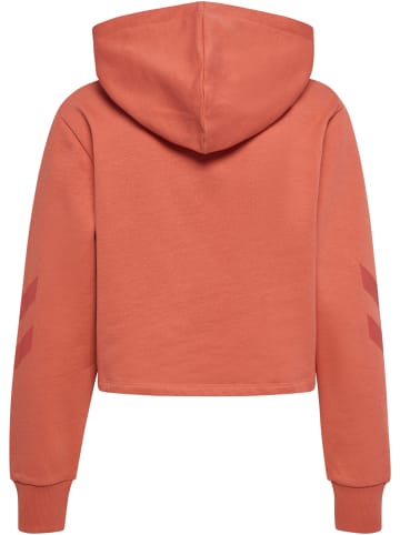 Hummel Hoodie Hmllegacy Woman Cropped Hoodie in APRICOT BRANDY