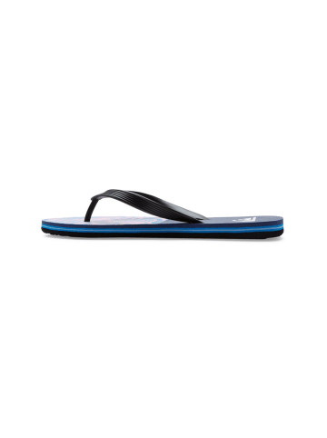 Quicksilver Flip-Flops Molokai in Mehrfarbig