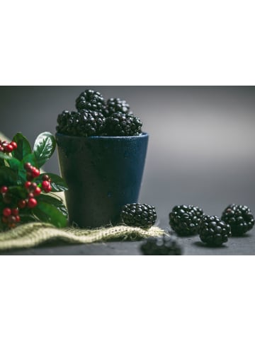 GARDENZO 3er-Set: Brombeeren in Schwarz
