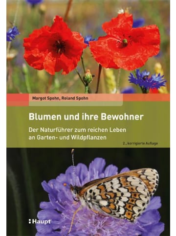 Haupt Blumen und ihre Bewohner