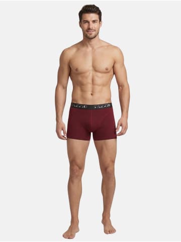 Tazzio Boxershorts 6er-Pack "BS1000" in Bordeaux