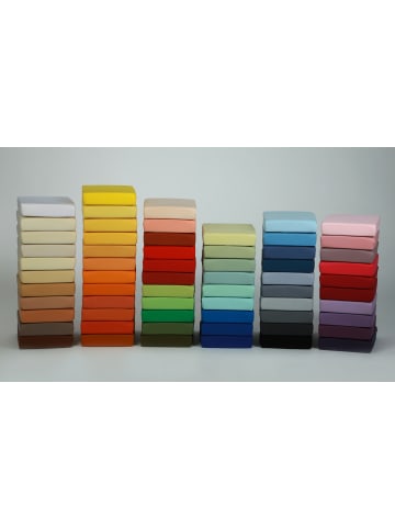 Cats Collection Spannbetttuch SUPERBE in zimt