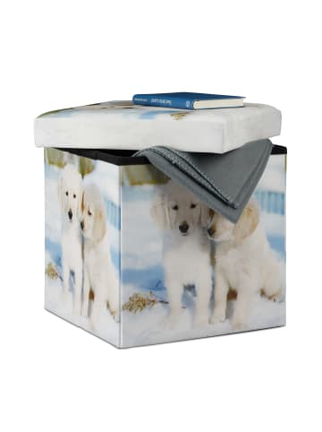 relaxdays Sitzhocker Hunde in Bunt - (B)38 x (H)38 x (T)38 cm