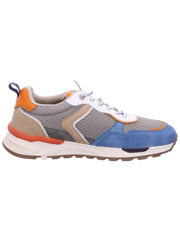 Lerros Sneaker  in Mehrfarbig