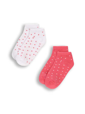 Coccodrillo Socken in bunt