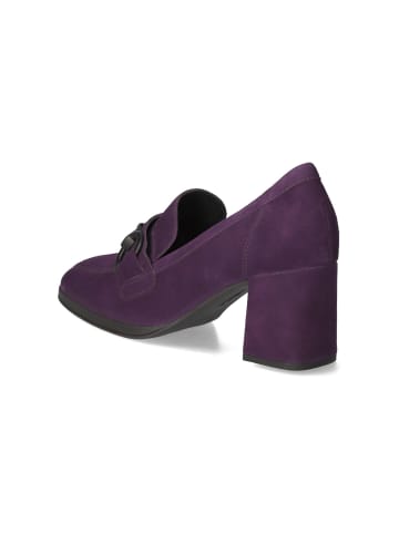 Gabor Pumps in Violett