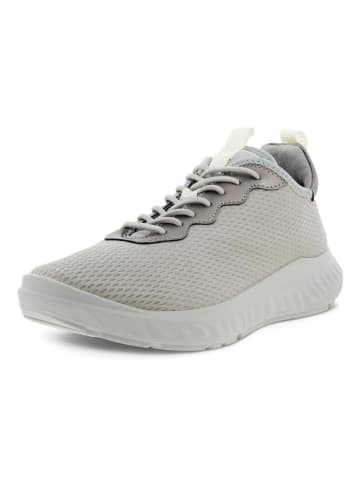 Ecco Sneaker in beige