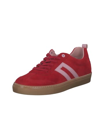 palado Sneakers Low in suede/tomaia