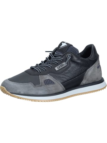 Cetti Sneakers Low in ante napa negro