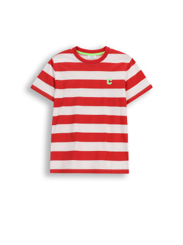 Coccodrillo Gestreiftes T-Shirt mit kurzen Ärmeln in rot