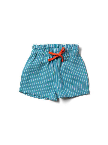 Little Green Radicals By The Sea Shorts in Blue