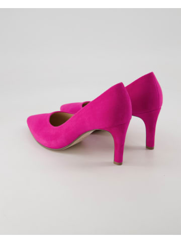 Gabor Klassische Pumps in Rosa