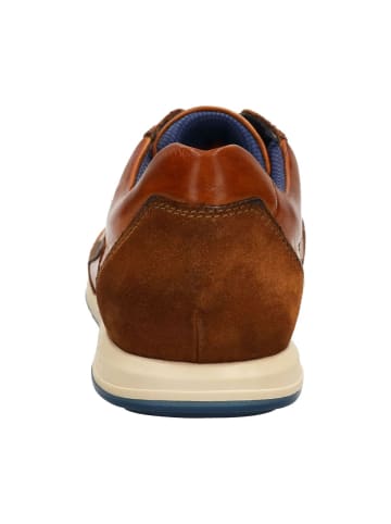 Bugatti Sneaker in cognac