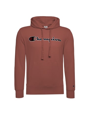 Champion Kapuzenpullover Hooded in braun