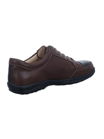 Finn Comfort Sneaker Low in braun