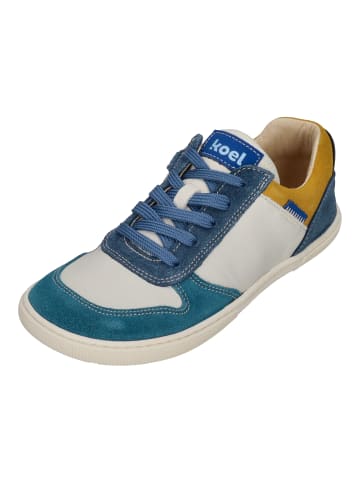 KOEL Sneaker Low DATE SUEDE  08M020.101-700 in bunt