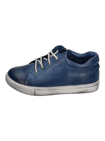 Andrea Conti Sneaker Low 0201711274  in blau