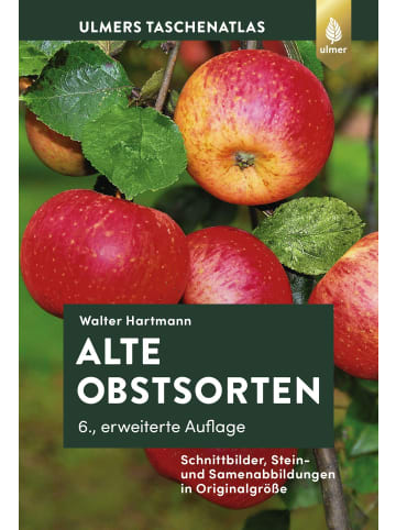 Ulmer Alte Obstsorten