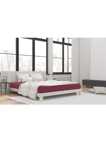 Hahn H.G. Hahn Spannbetttuch Primera Jersey in bordeaux