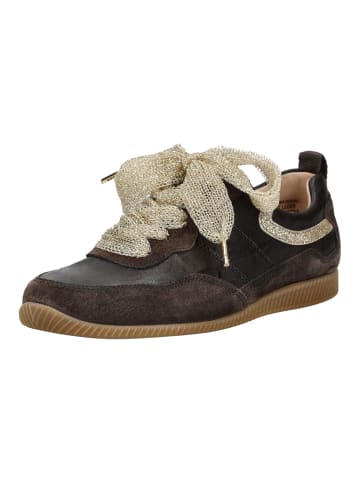 Paul Green Sneaker in Mocca