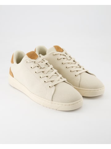 TOMS Sneaker low in Beige