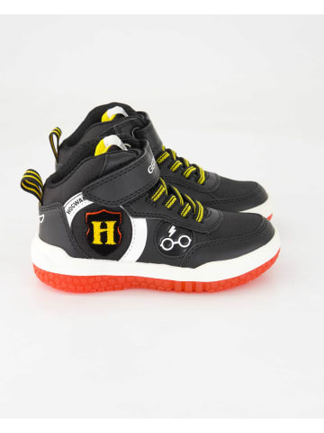 Geox Outdoor Schuhe in Schwarz